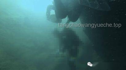 巨型鲶鱼追逐致洞穴探险者溺亡：探险、救援与生态保护深度分析